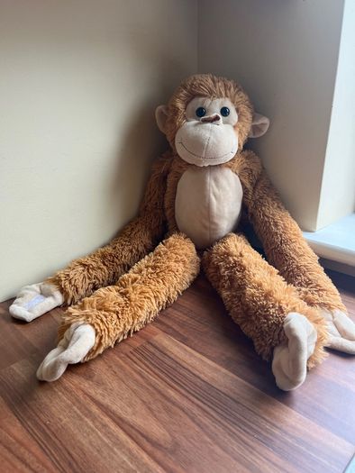 Light brown cheeky hanging Monkey