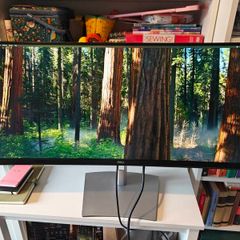 Dell Ultra Wide Curved 34" USB C + HDMI Monitor
