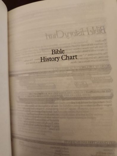 Holy Bible  Good News Edition. 350 Pages. In Good Condition. 38.