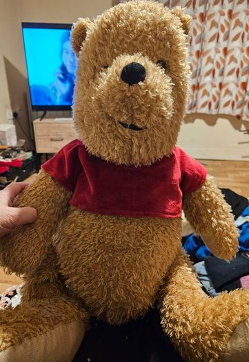 Large Winnie The Pooh Teddy