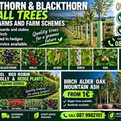 hedging & trees free  department reg