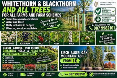 hedging & trees free  department reg