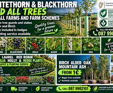 hedging & trees free  department reg