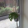 Beautiful hanging plant including pot and hanging basket Image 2