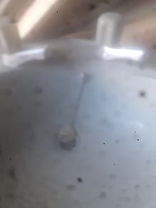 Sink with taps