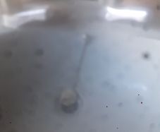 Sink with taps