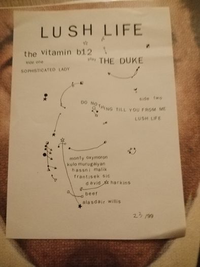 Vinyl  The Vitiman B12 play The Duke