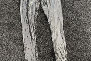 leggings grey