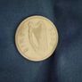 2000 millennium 1 pound old Irish rare coin Image 2