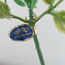 Vintage Aynsley porcelain flowers on stems  6pc Image 5