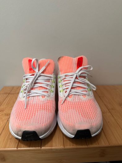 Nike Pegasus 39