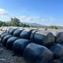Maize - Beet Bales Image 2