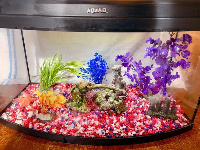 Fish Tank Aqua 60cm - Bow Front Aquarium 45L