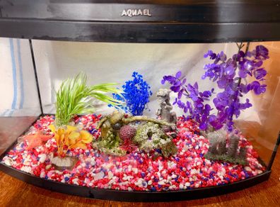 Fish Tank Aqua 60cm - Bow Front Aquarium 45L