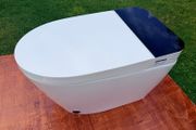 Smart / Japanese toilet with bidet wash