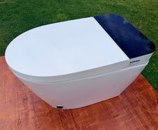 Smart / Japanese toilet with bidet wash
