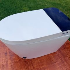 Smart / Japanese toilet with bidet wash