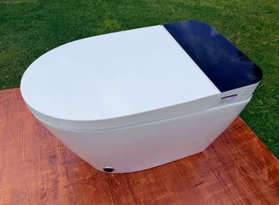 Smart / Japanese toilet with bidet wash