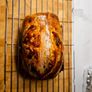 sourdough starter Image 2
