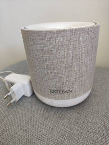 Mist diffuser