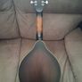 Gold Tone Mando/Guitar. Image 5