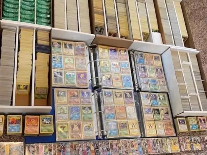 wanted pokemon cards bulk