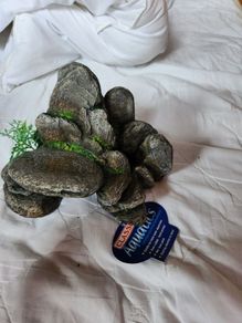 aquarium decorations