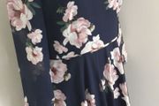 Stunning Hobbs Norah Midnight Blush Dress 12