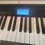 Roland Go 61 Key Digital Piano Image 3