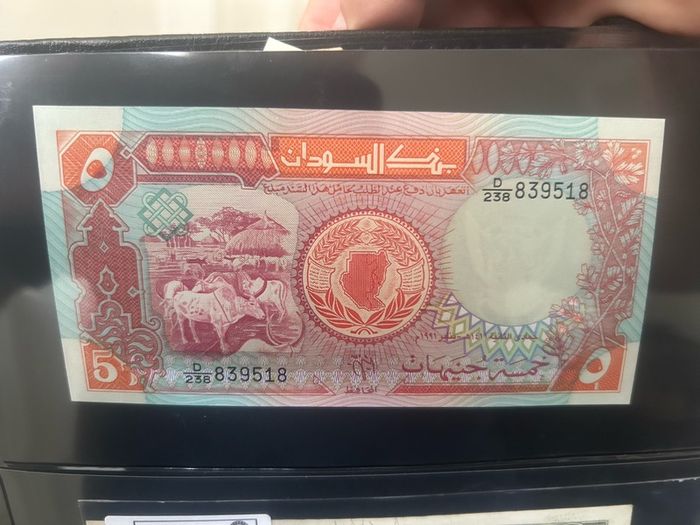 Sudan - 5 Pounds 1991 Fds - Unc