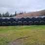 Silage bales Image 2