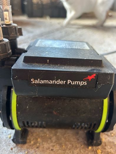 Salamander pump