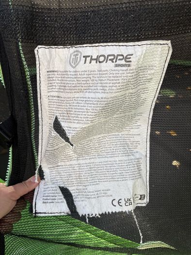 Thorpe Sports 10 ft Trampoline with Enclosure & Ladder