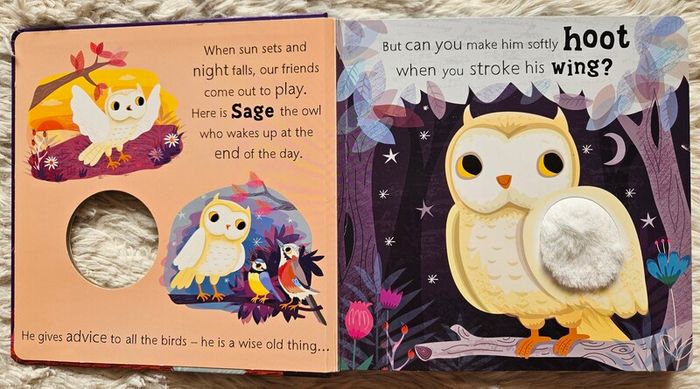 Owl Says Hoot - A Noisy Touch-and-Feel Night Book