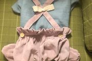 Dog Dungarees Outfit