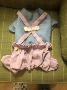 Dog Dungarees Outfit