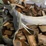 Hardwood logs Image 5