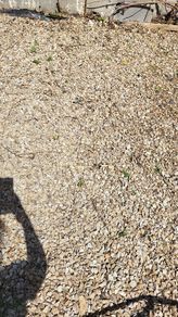 Chipping Stones in bags or bulk