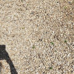 Chipping Stones in bags or bulk