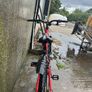 Red apollo phaze mountain bike Image 3