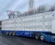 Pezzaioli pig trailer