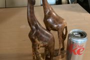 Set of giraffes