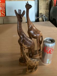 Set of giraffes