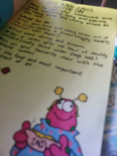 1989 zig and zag