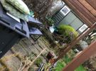 Tidy Garden service Image 6
