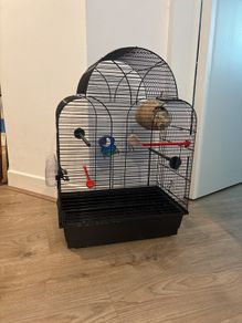 Cage for birds