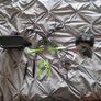 Drone Image 2