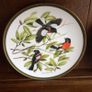 Vintage Franklin Porcelian woodland birds of the world 10 inch decorative plates Image 6