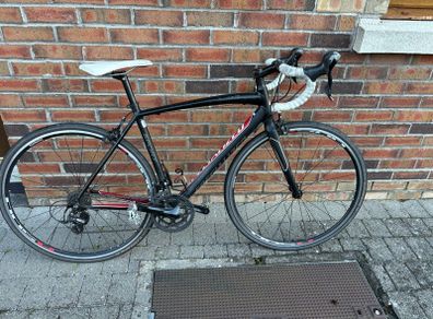 Specialized Alez Sport - medium