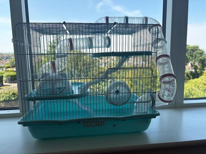 Hamster cage